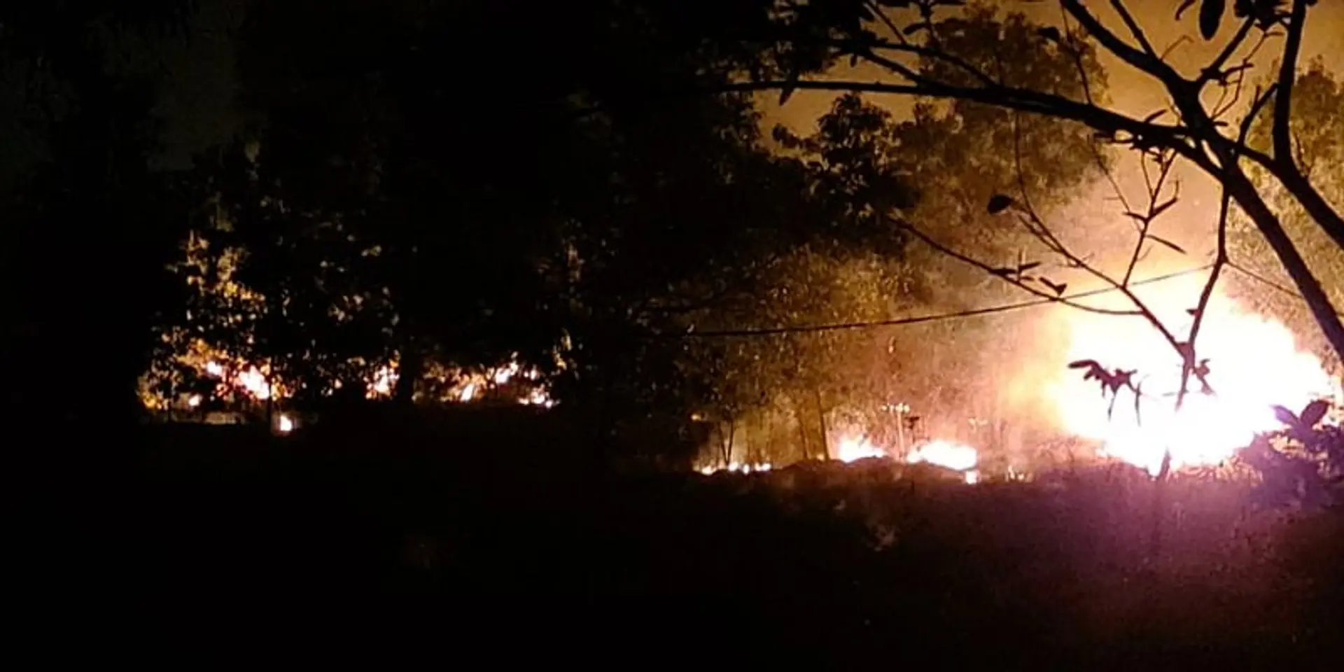 Forest fires that caused horrific damage to our planet