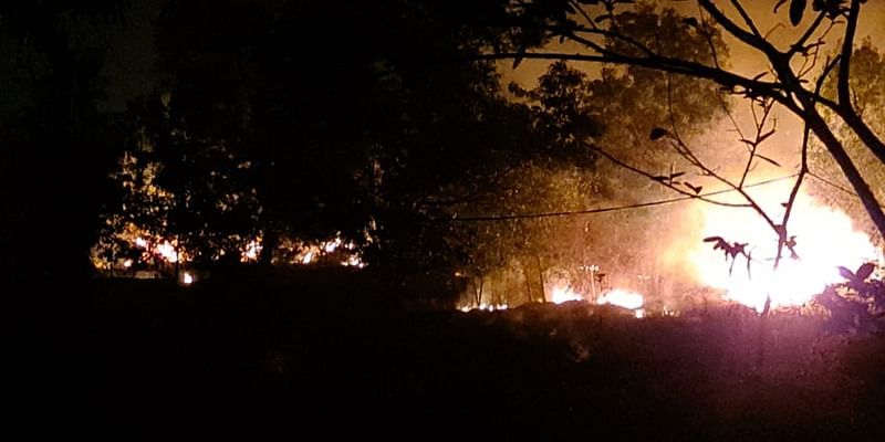Fire rages in Odisha's Simlipal Forest Reserve for 10 days, officials fail to contain its spread
