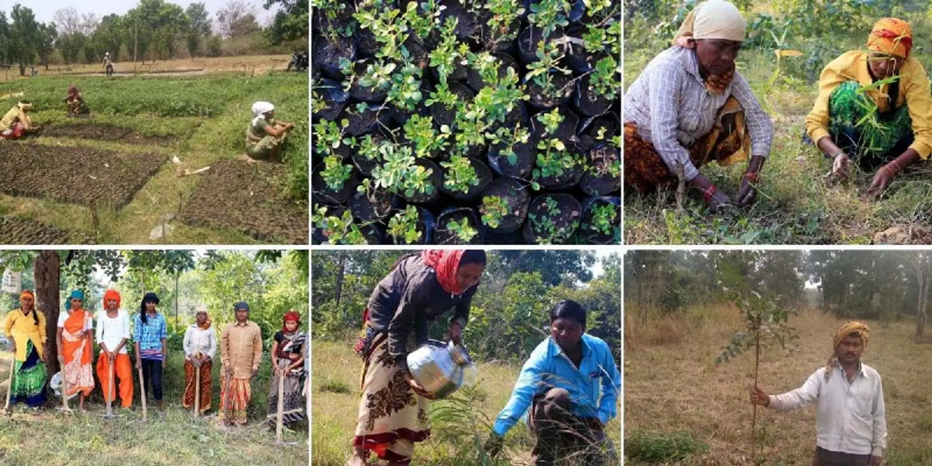 World Environment Day: It is time to understand our responsibility towards our plant