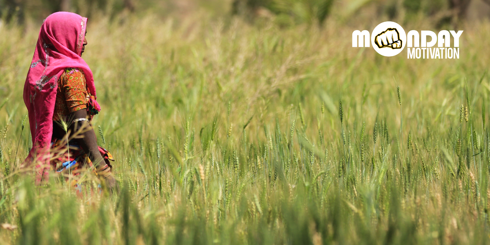 How one farmer changed her fortunes and is helping other farmers in her area
