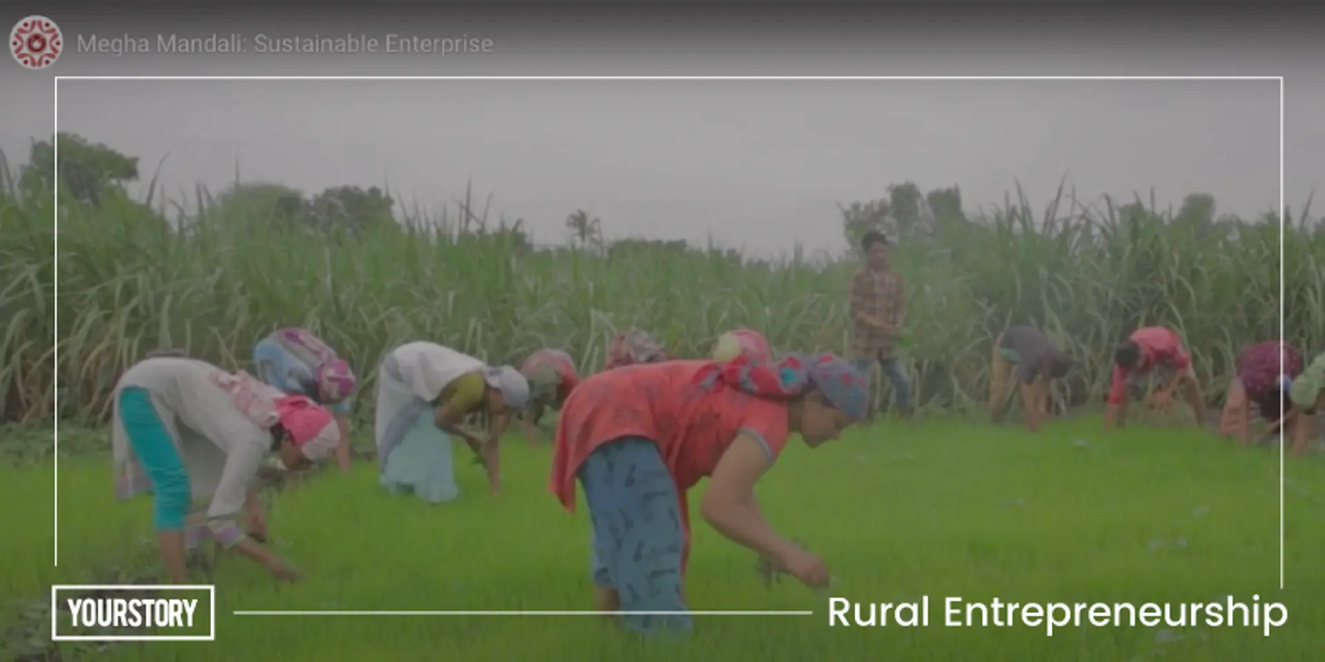 How Megha Mandli is improving the lives of women farmers in Gujarat’s Tapi district