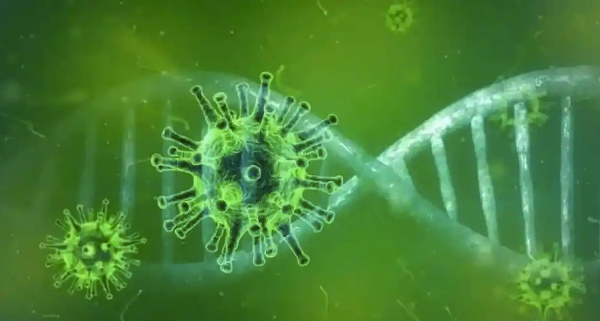 Here's everything you need to know about the green fungus that has been detected in a COVID-19 patient