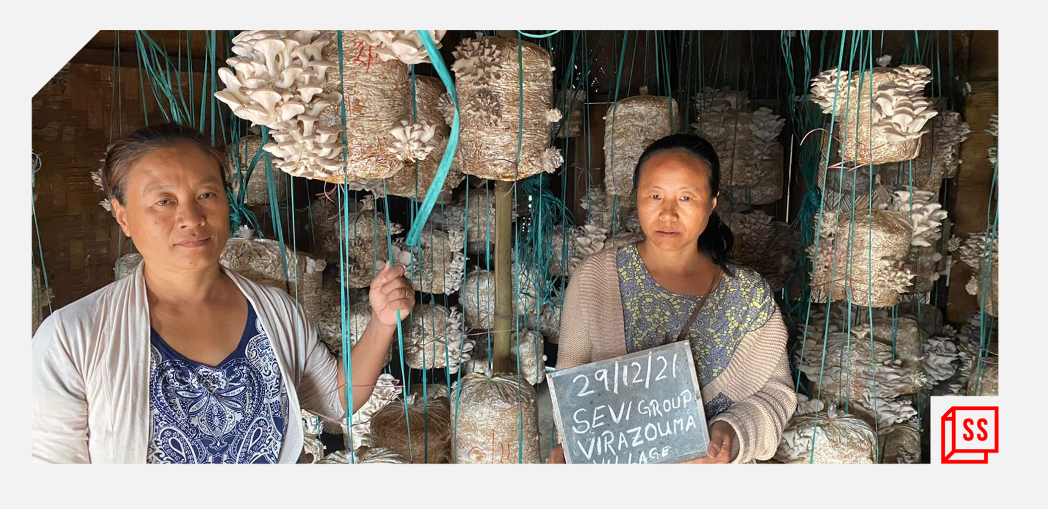 How this mushroom agritech business is empowering women and farmers in Nagaland
