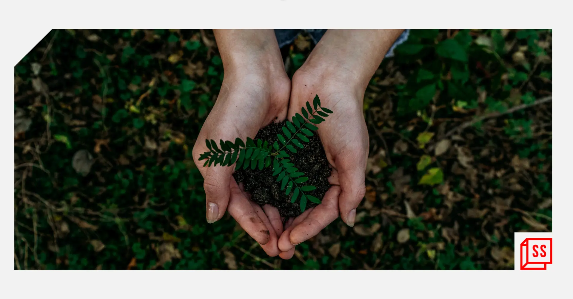 Students and a sustainable campus: Initiatives that students can take to foster sustainable living