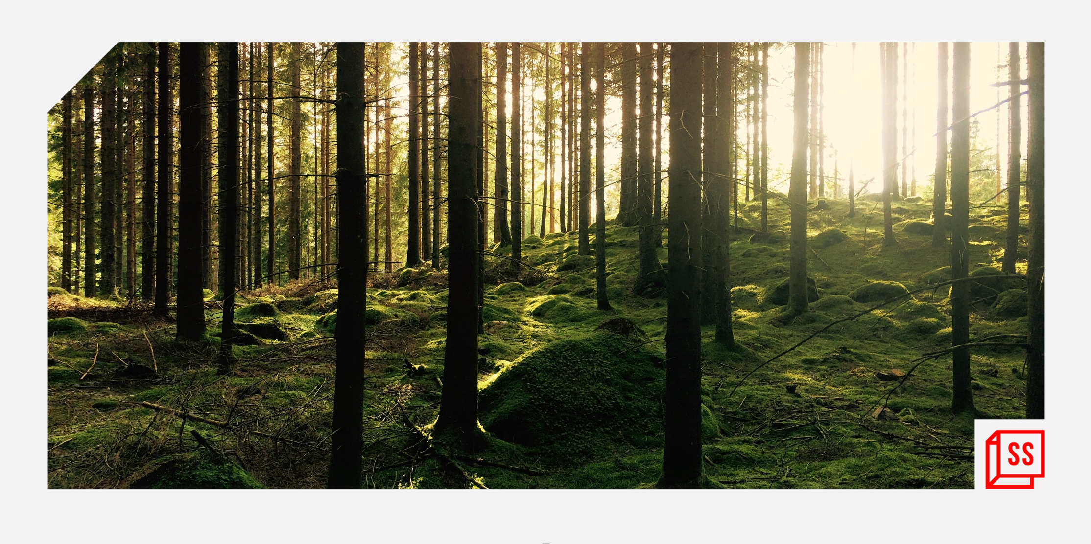 Why does biodiversity matter to human health and economic well-being?
