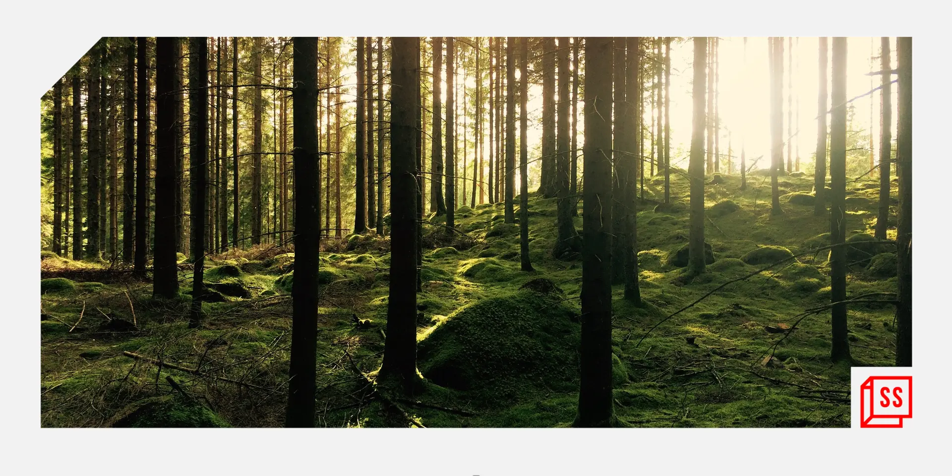 Why does biodiversity matter to human health and economic well-being?