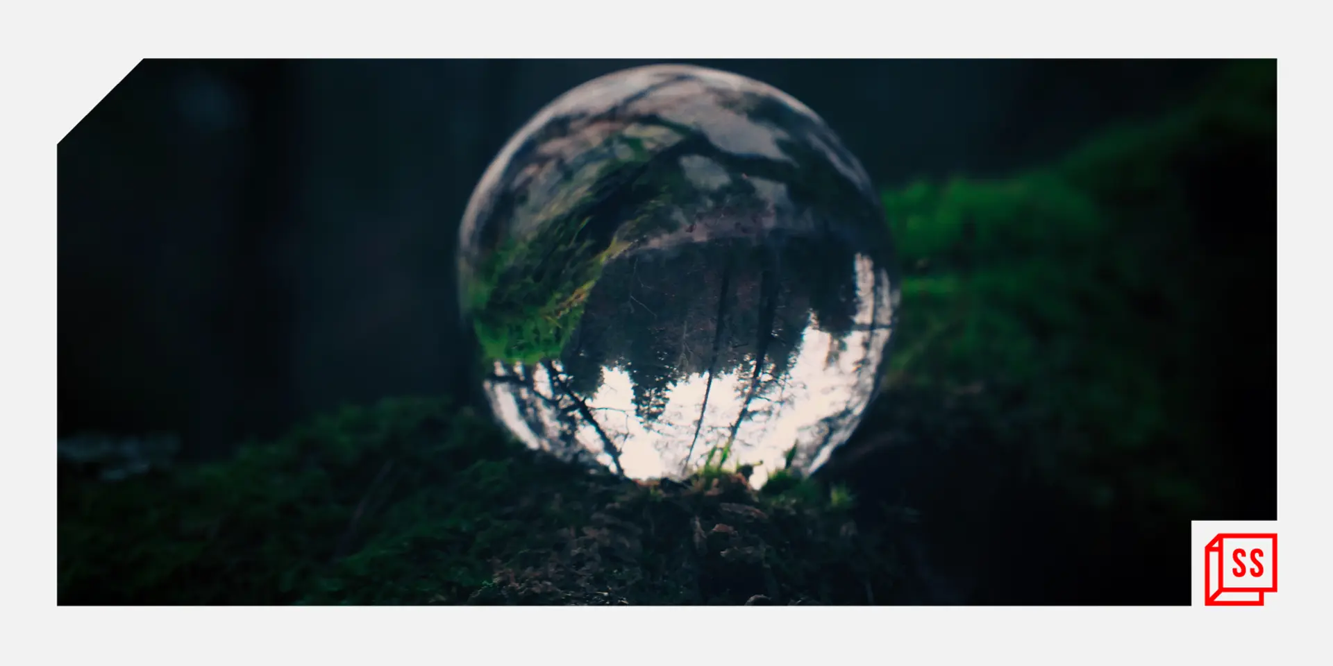 Restoring The Ecosystem - Solutions for a Post Pandemic World