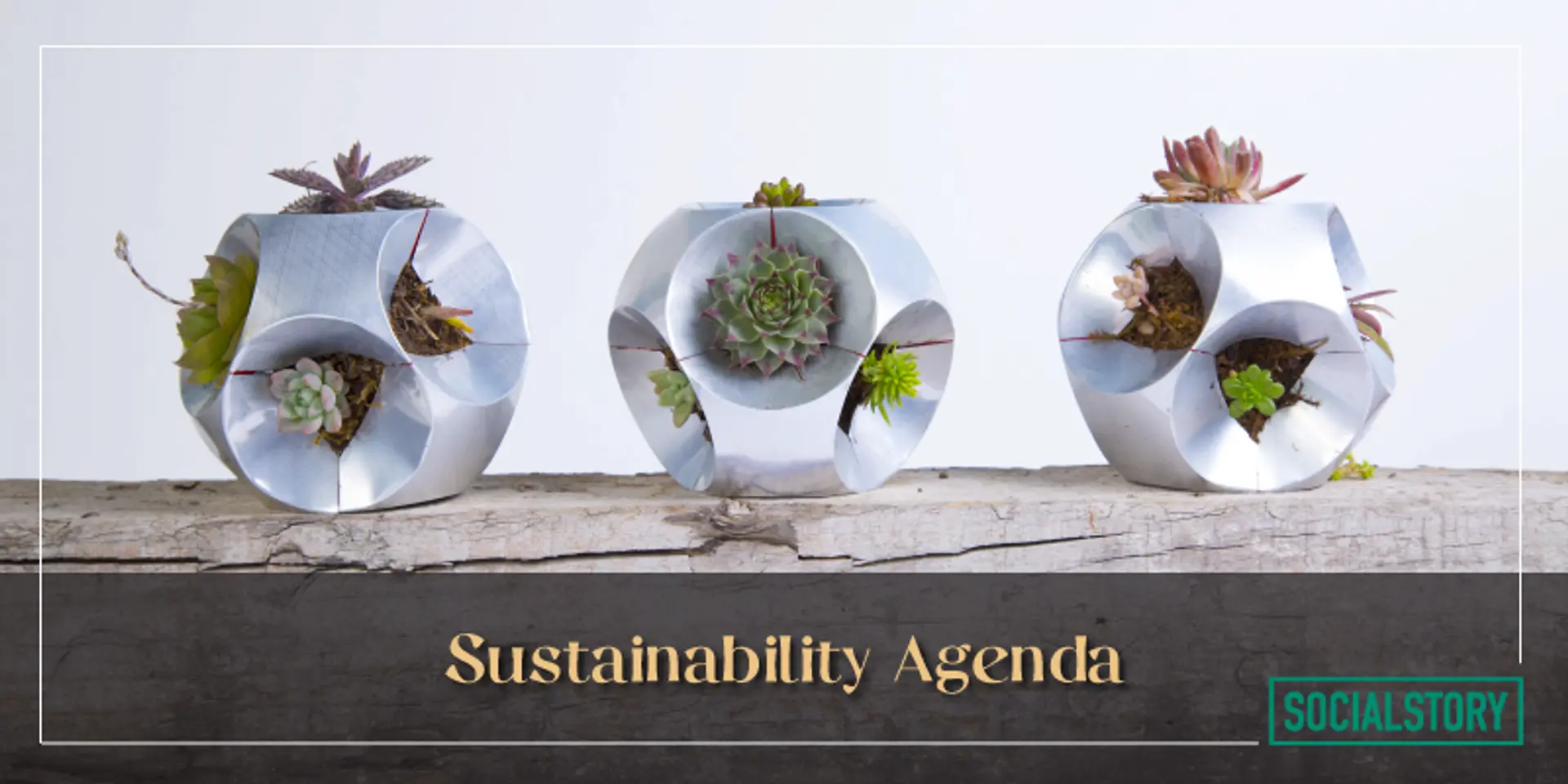 Sustainability Agenda: Aluminium packaging is a win-win for business growth and ecosystem restoration