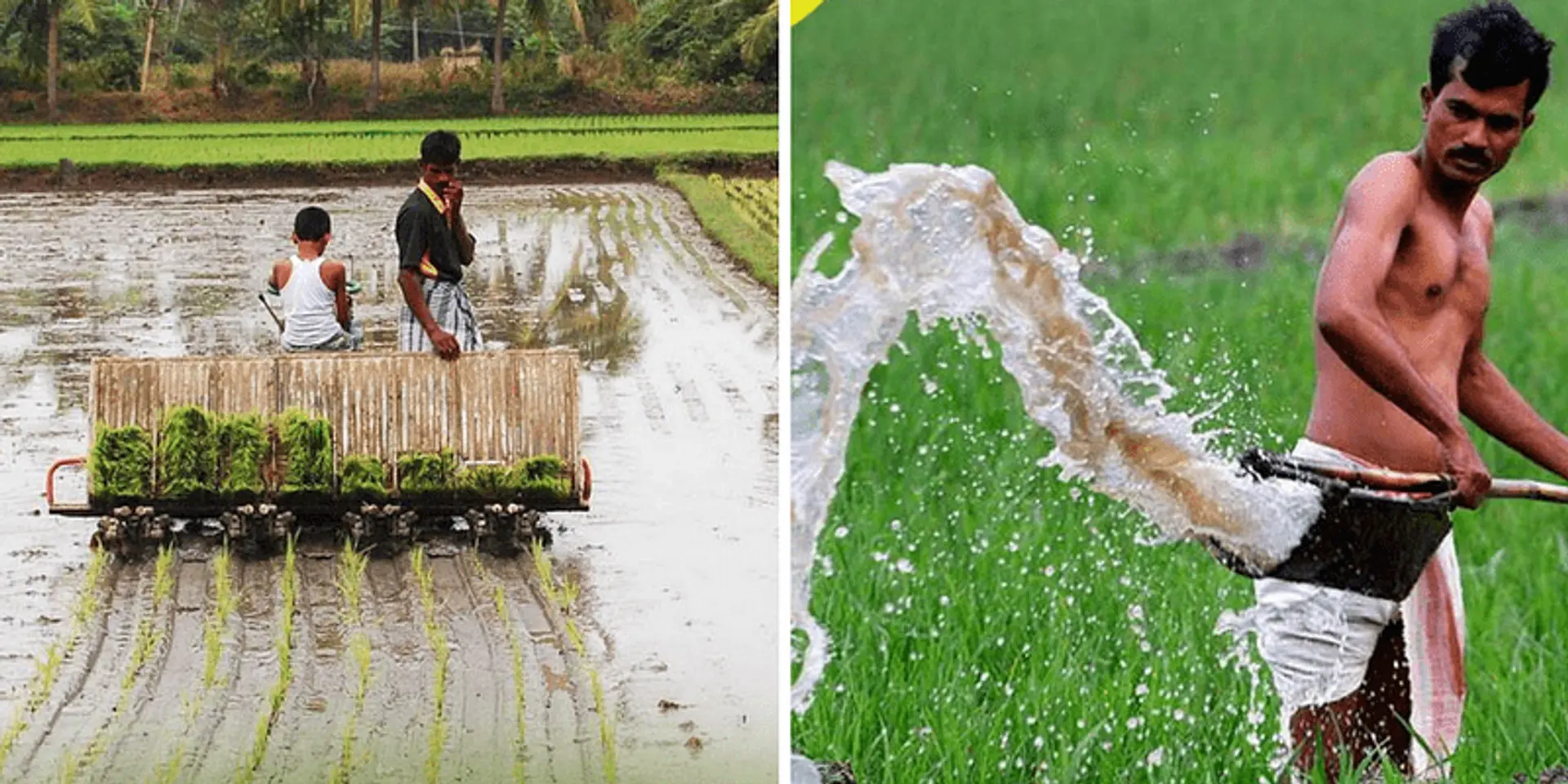 How the Swabalambee Foundation is working to build employment and entrepreneurship in Odisha