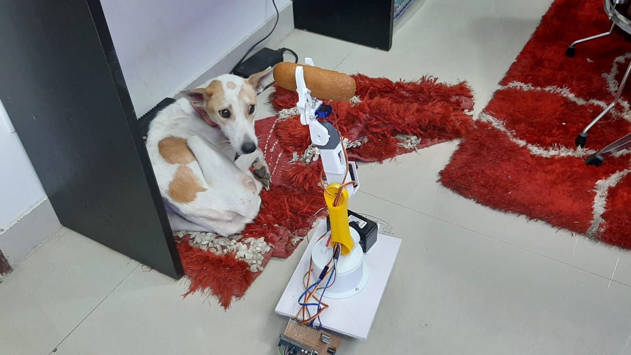 Man builds robot to help his differently-abled dog 
