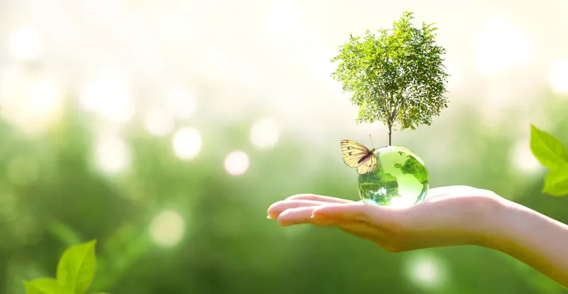 Sustainability Agenda-1