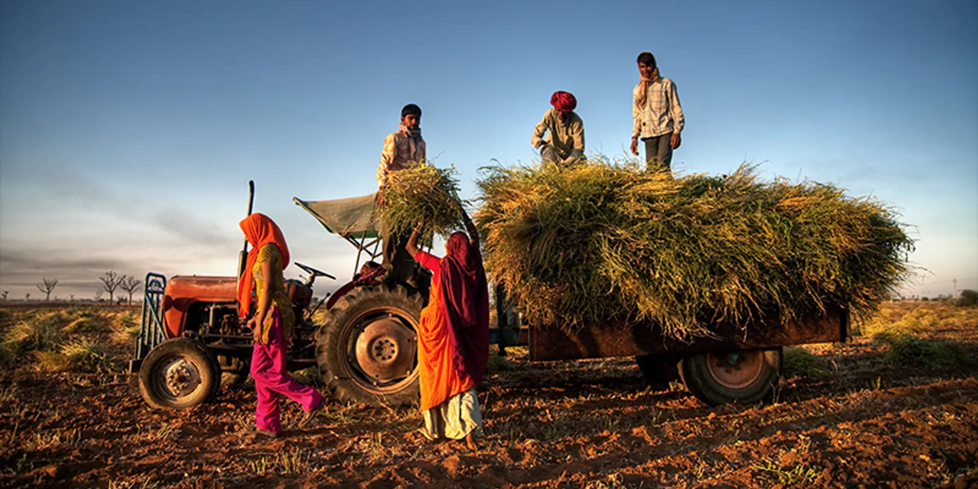 About 95 pc rural women feel a career in agriculture has high potential: Survey