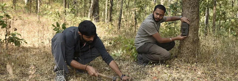 WCT has partnered with the Maharashtra and Madhya Pradesh state forest departments to set up camera traps outside protected areas to capture important sightings, including the discovery of Eurasian otters in central India.