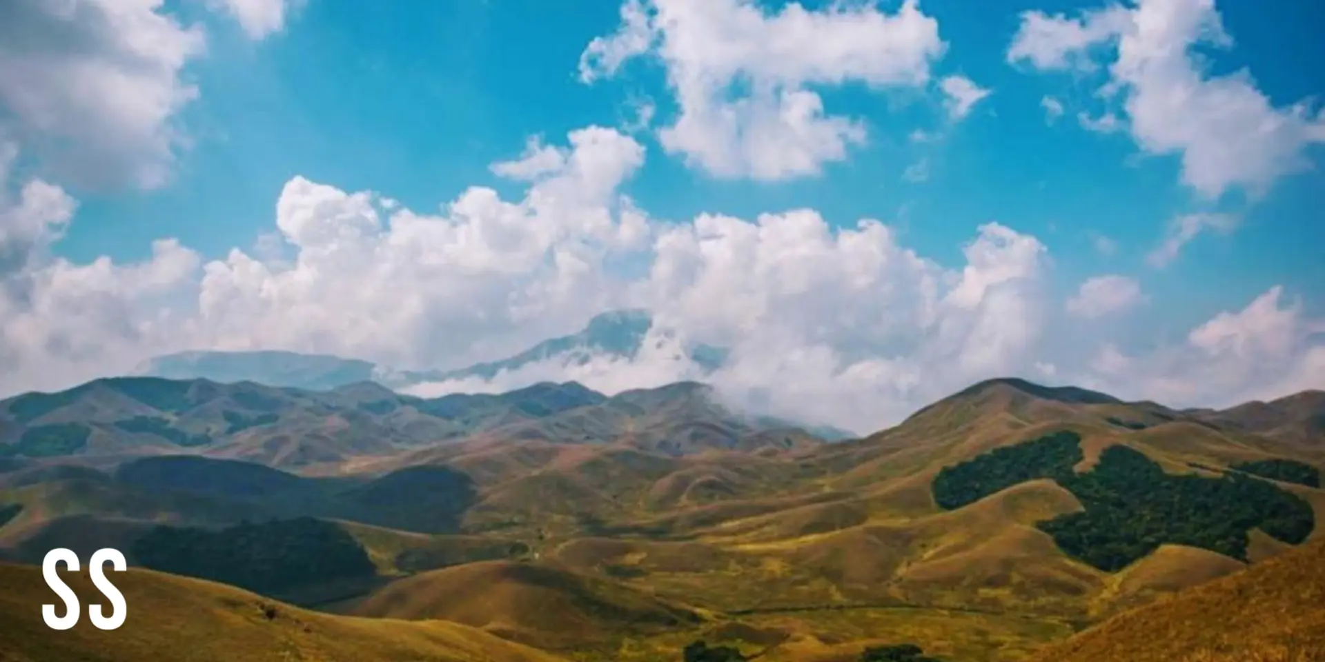 Stories from the ground: Sky Islands puts a lens on narratives from Western Ghats