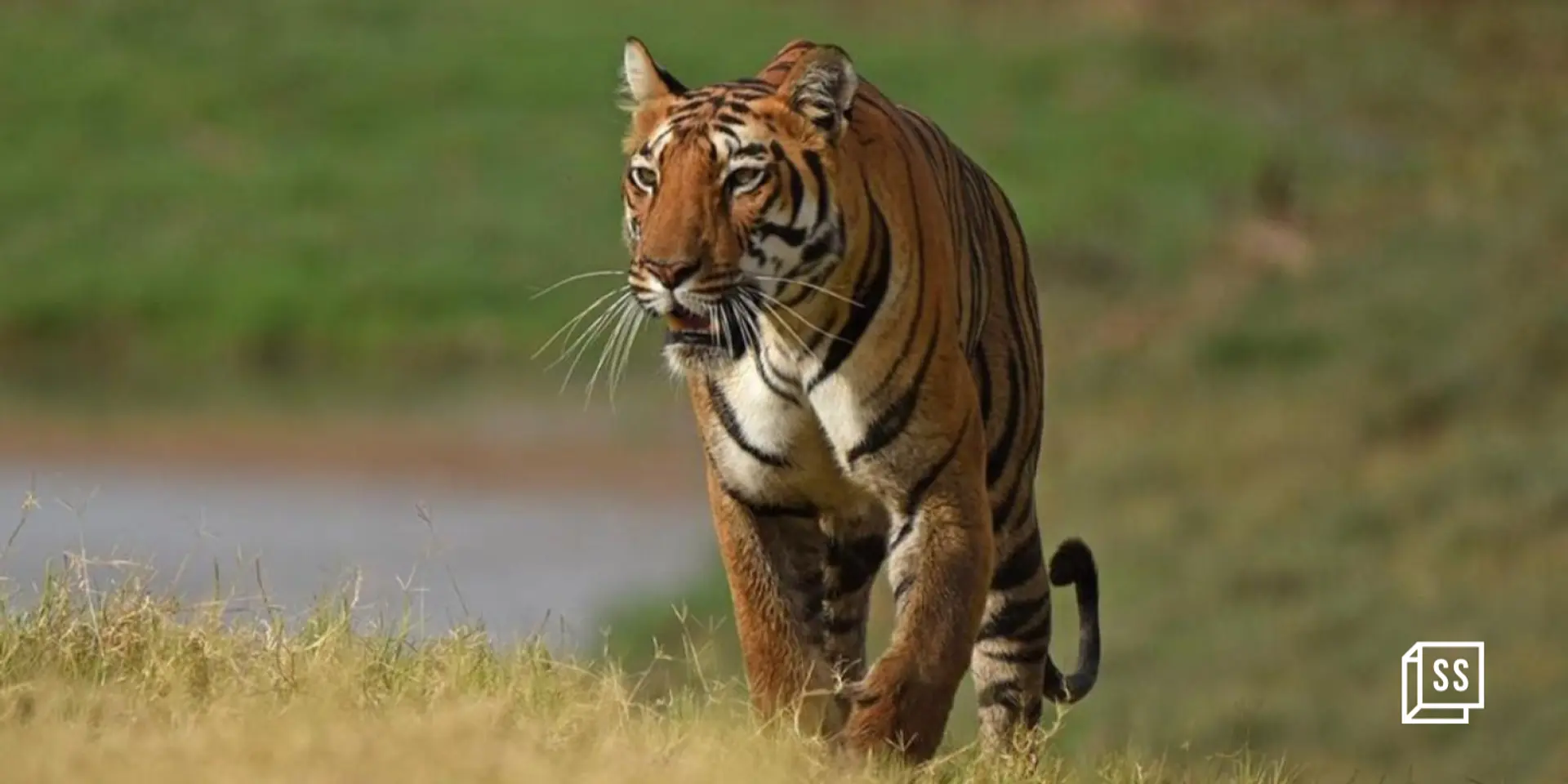 How WCT is developing a 360° approach to wildlife conservation