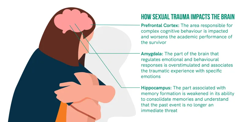 How sexual trauma impacts the brain