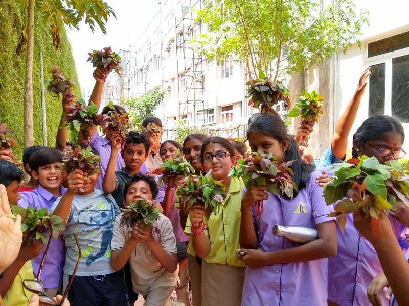 Students with a fresh harvest of spinach from the garden at APL Global School