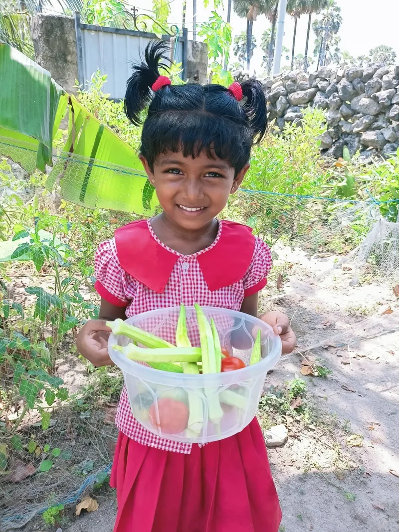School garden