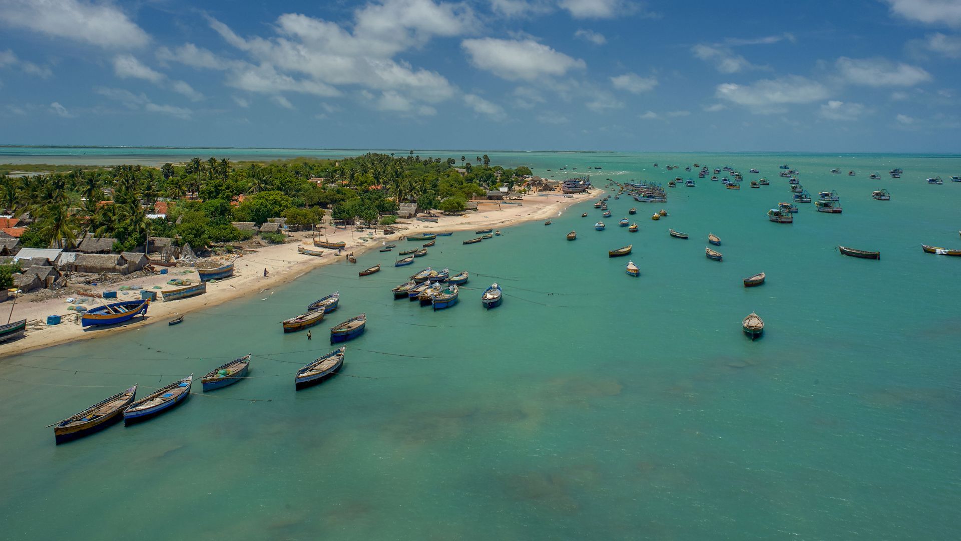 Tamil Nadu launches Rs 50 Cr climate project to revive sinking Gulf of Mannar Island

