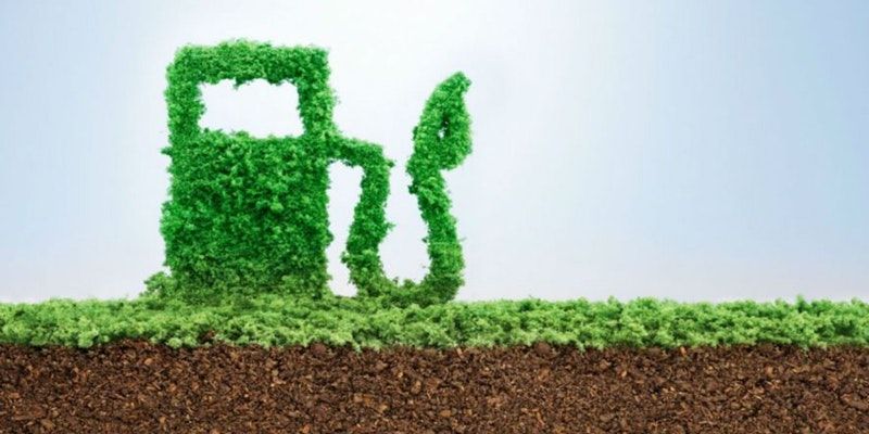 From paddy straw to compressed biogas for automobiles – how Indian Oil is changing the way India drives