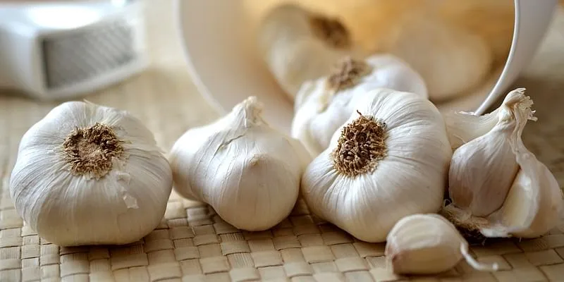 Garlic-immunity