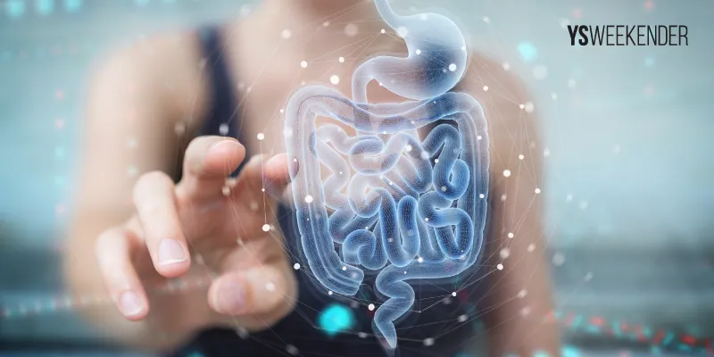 digestion