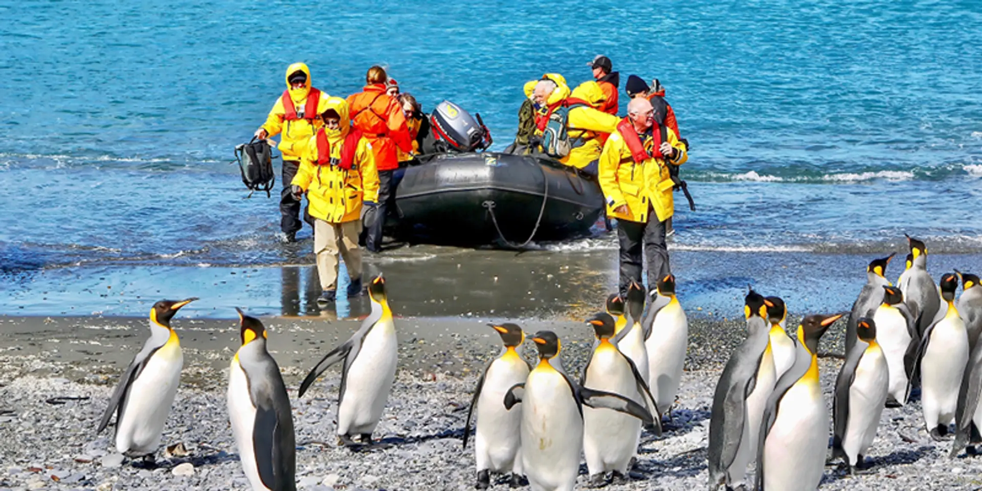 Have an ice day: 5 Antarctic experiences to satiate your adventurous soul