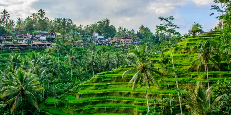Ubud in Bali