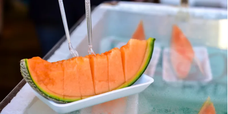 yubari melon