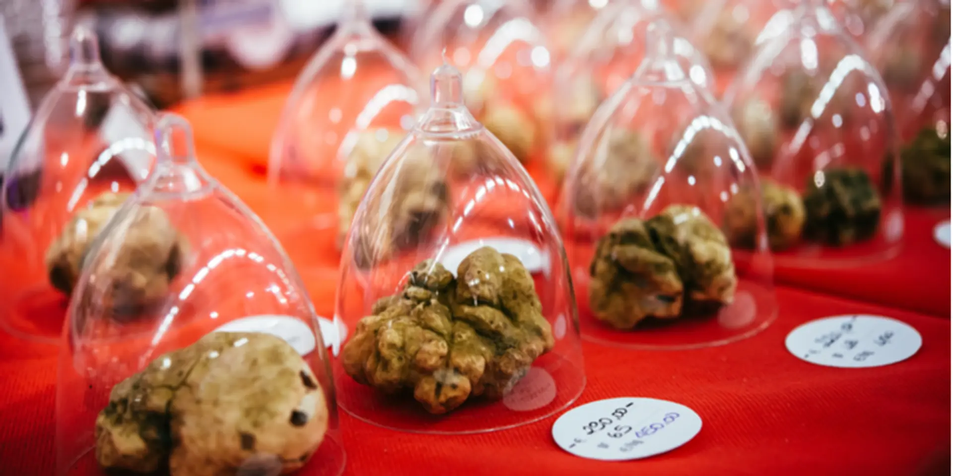 Alba truffles or Yubari Melons? Are luxury foods worth the price?