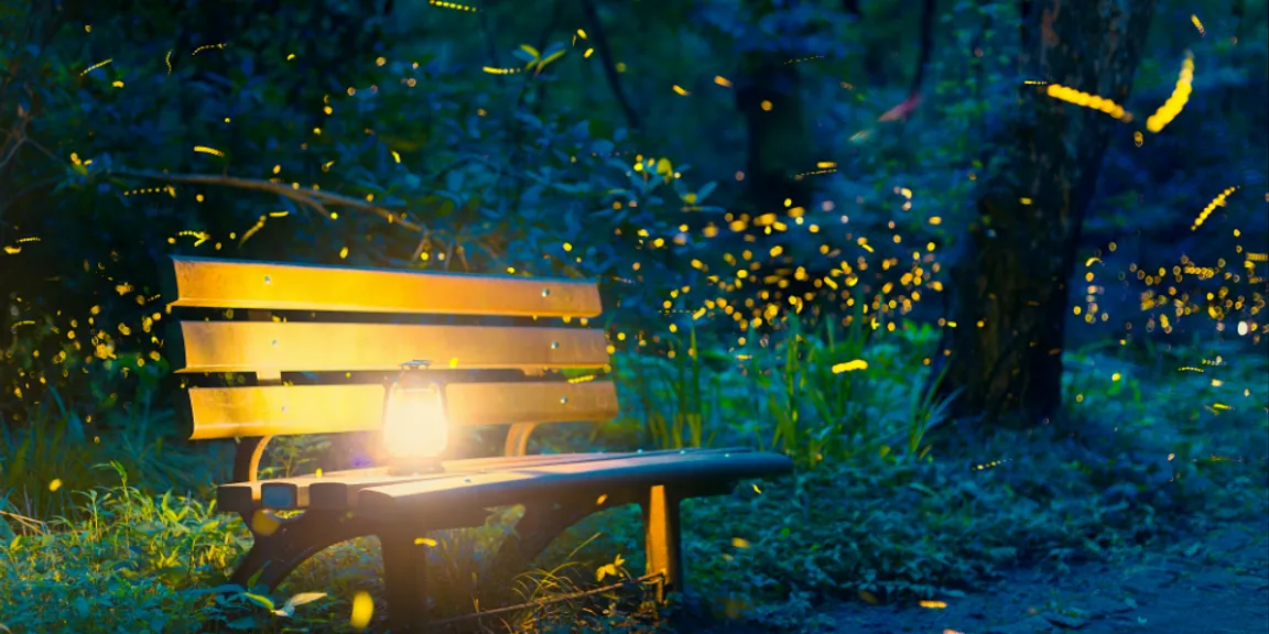 Experience the magic of monsoon under the light of a million fireflies