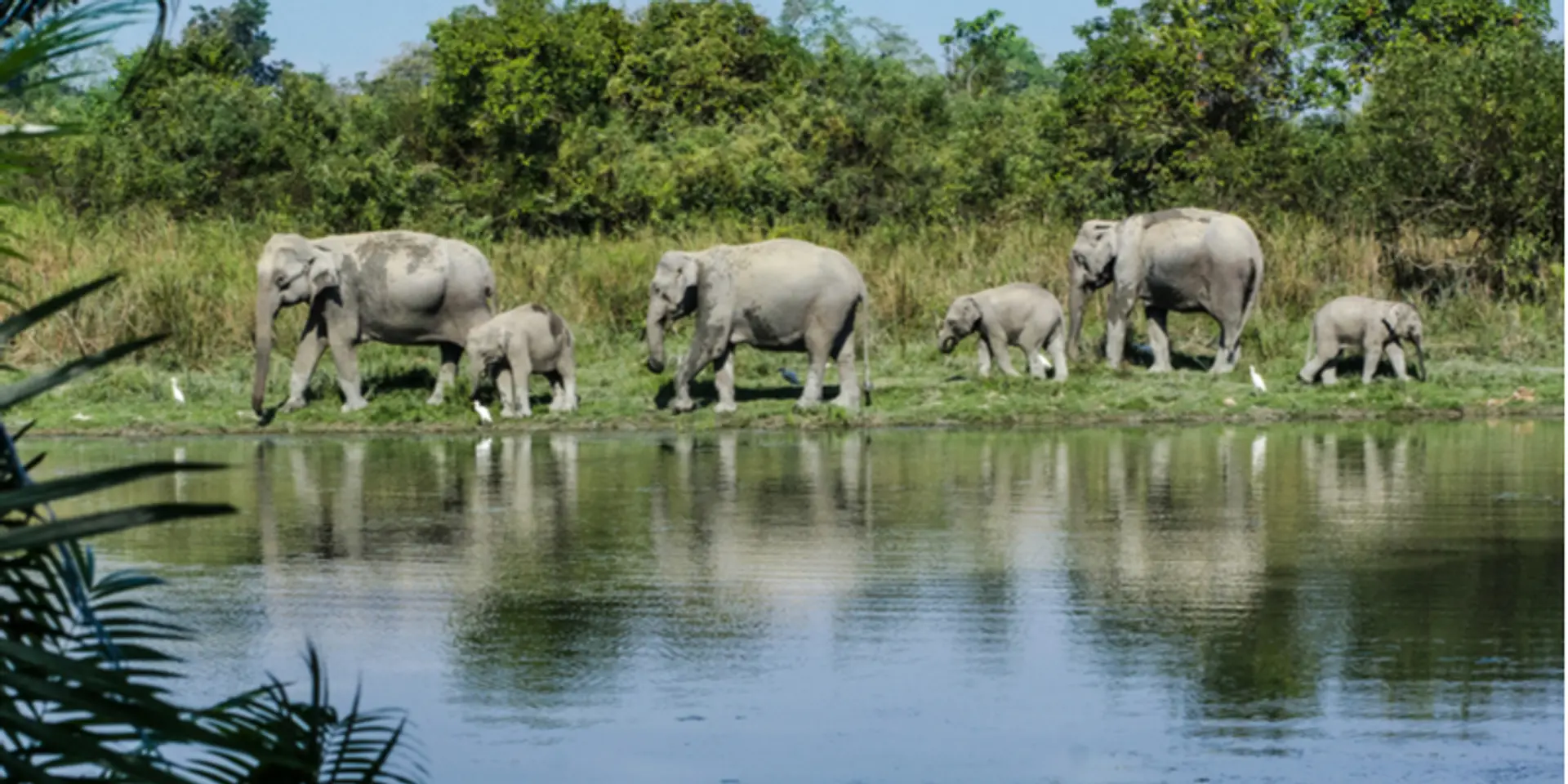 Cruising down the lifeline of Assam: a wondrous journey through the state’s wildlife, culture, religion, and traditions
