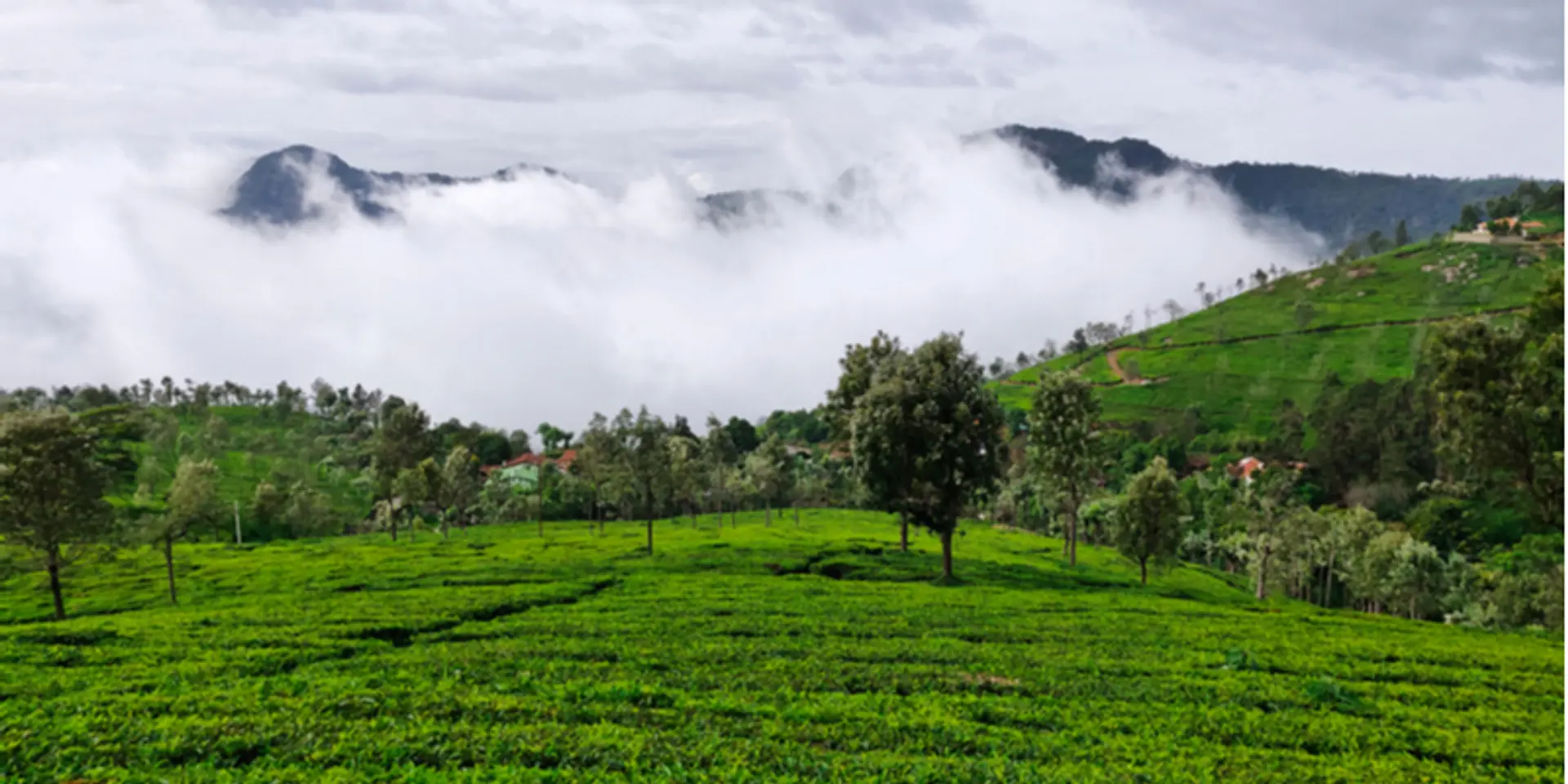 Singing in the rain: Head to these 7 travel destinations for a dose of monsoon magic