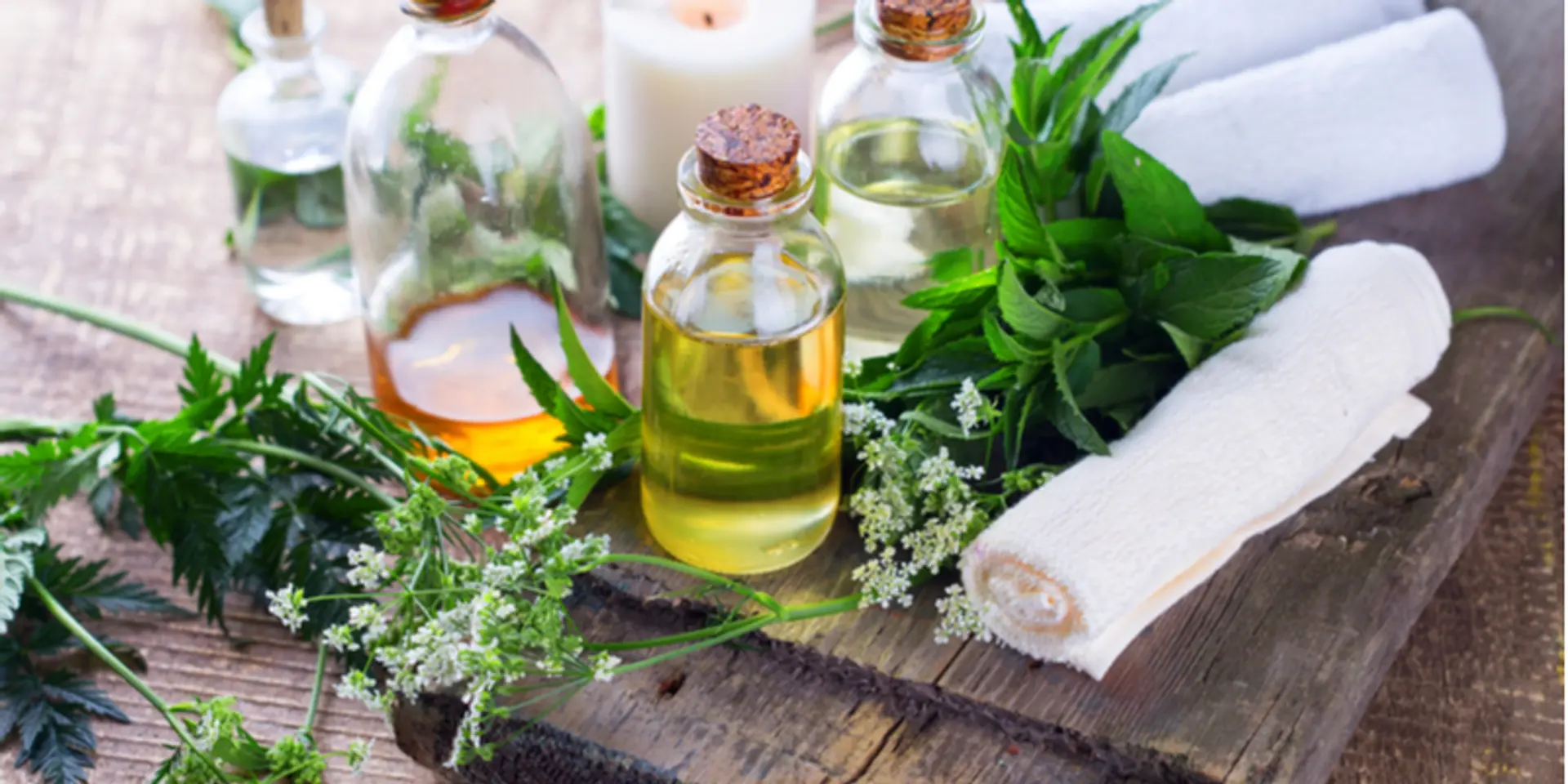 Get Gorgeous: How Vanity Wagon is taking the organic beauty marketplace by storm