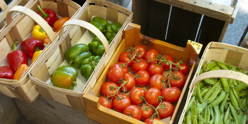 farm to table