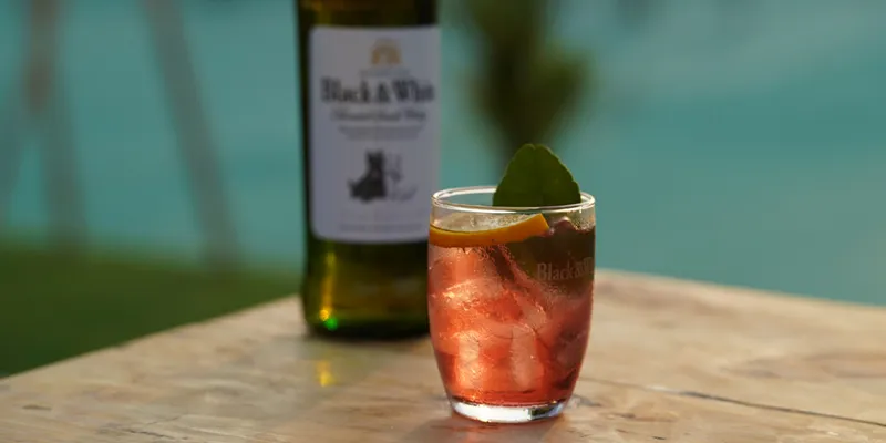 cocktail