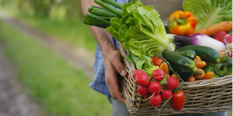 foods
