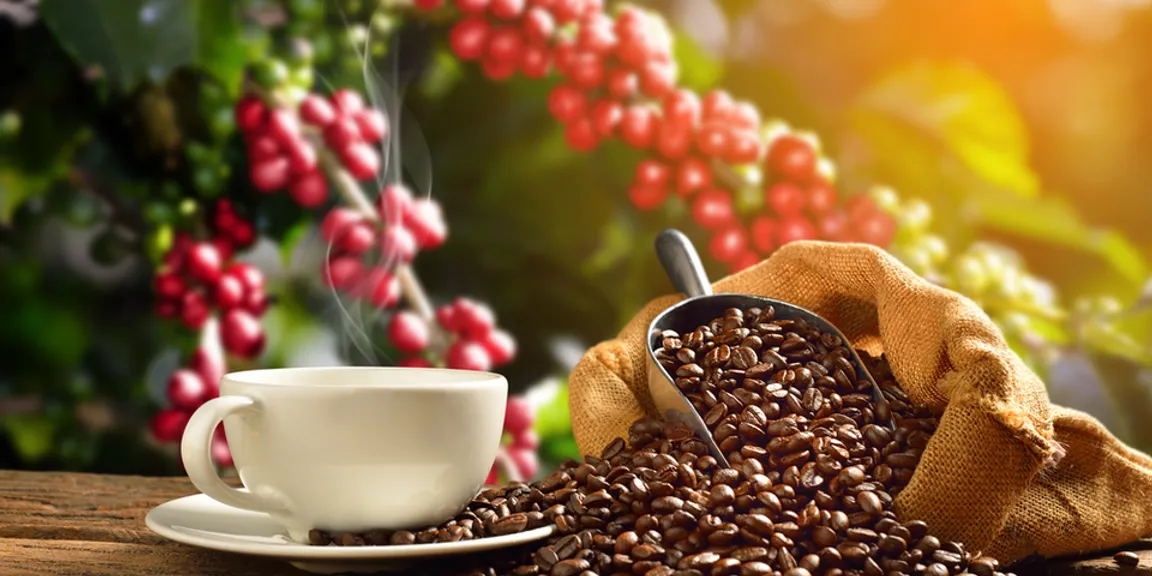 What’s brewing? Survey shows a new coffee culture during the times of coronavirus

