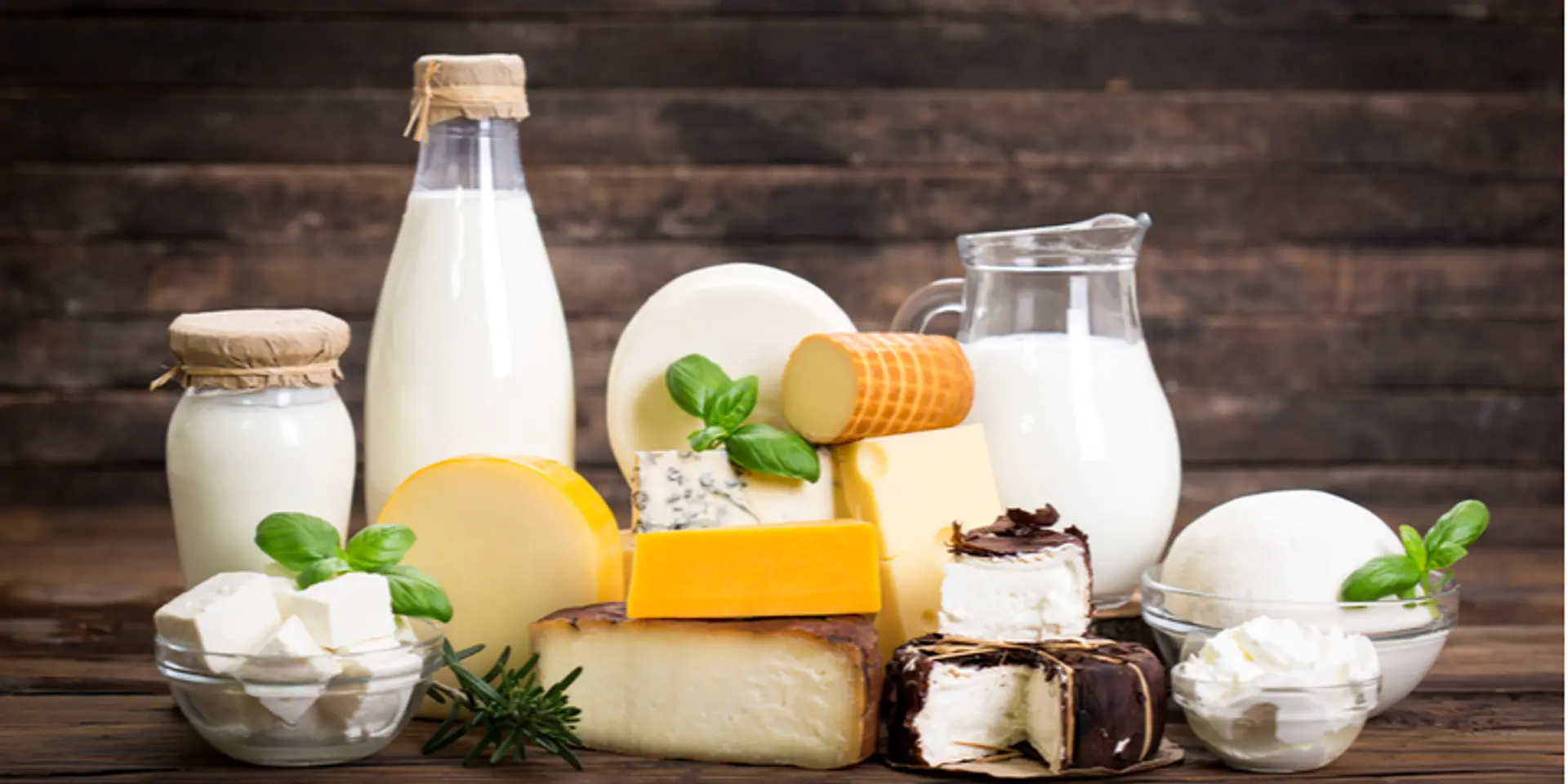 World Milk Day: These 4 dairy startups are bringing about another 'white revolution'