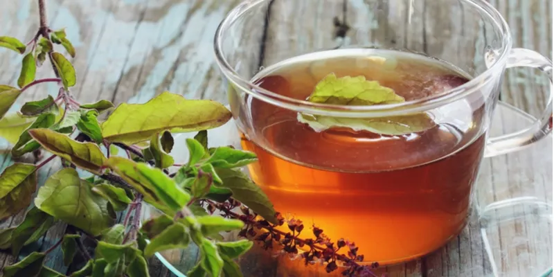Tulsi