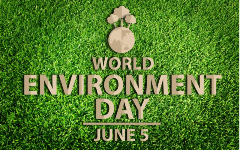 environment