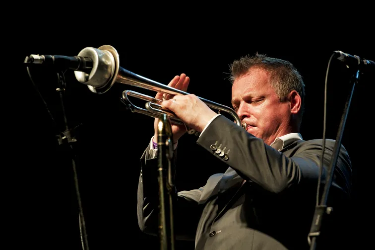 New Cool Collective