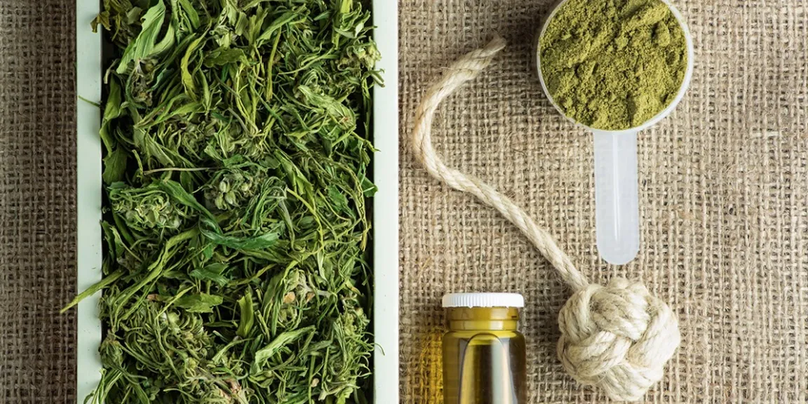 The nutrition and beauty benefits of hemp, and why you should include it in your daily life