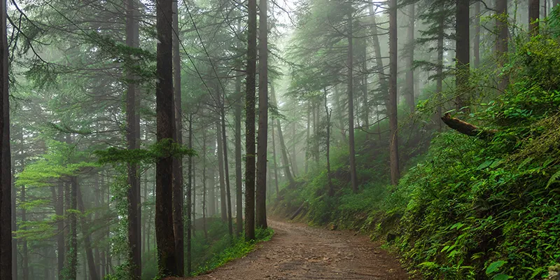 Coorg