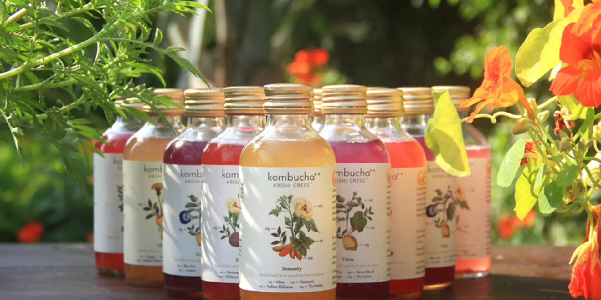 Krishi Cress is helping boost our immunity during the coronavirus pandemic