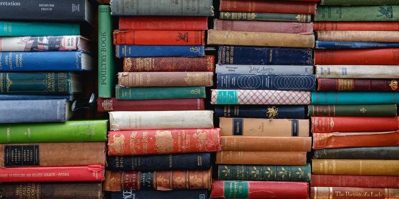 Coronavirus: 5 books that open up new worlds and help you escape lockdown loneliness