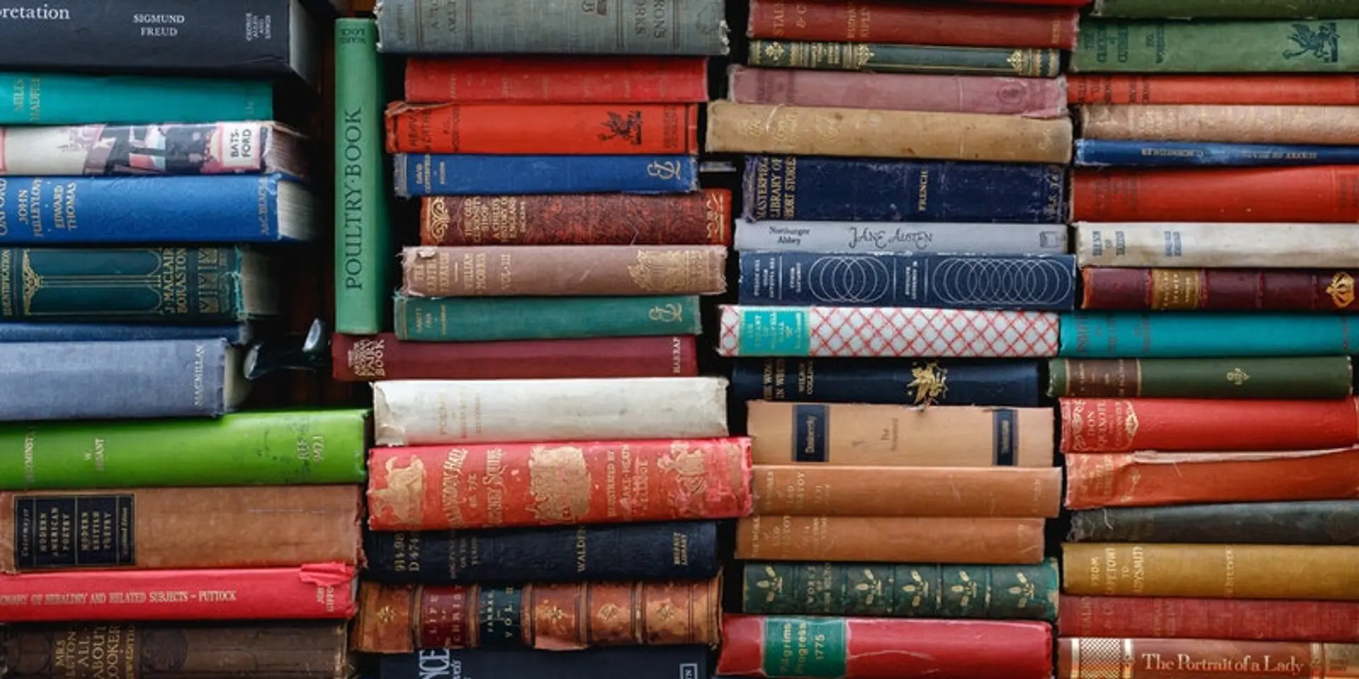 Coronavirus: 5 books that open up new worlds and help you escape lockdown loneliness