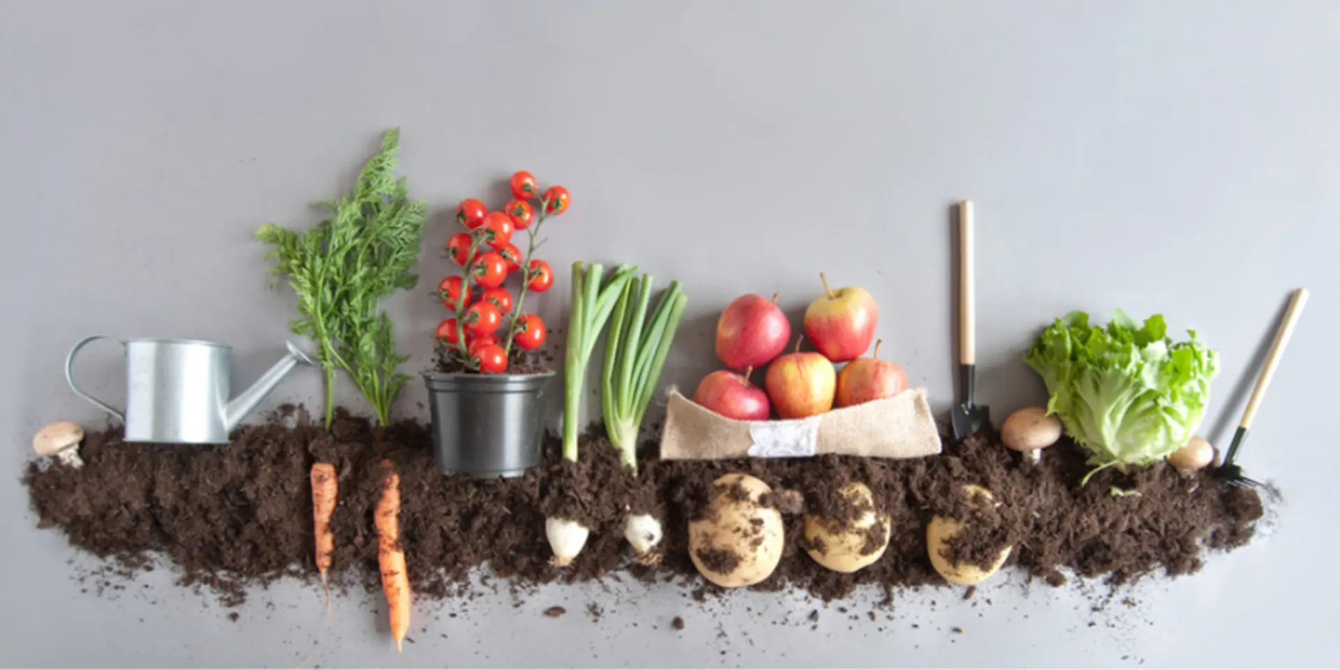 Three things an organic brand needs to get right to win the market