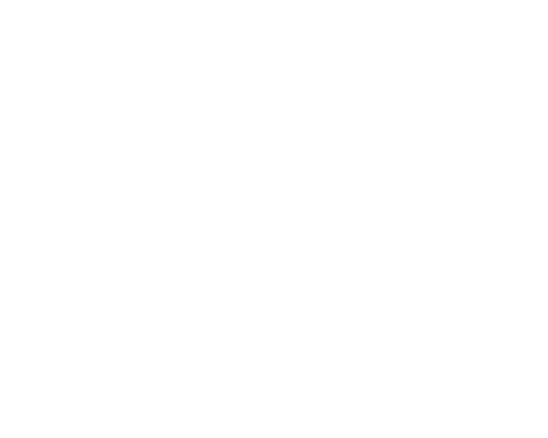 100 Digital Influencers-logo