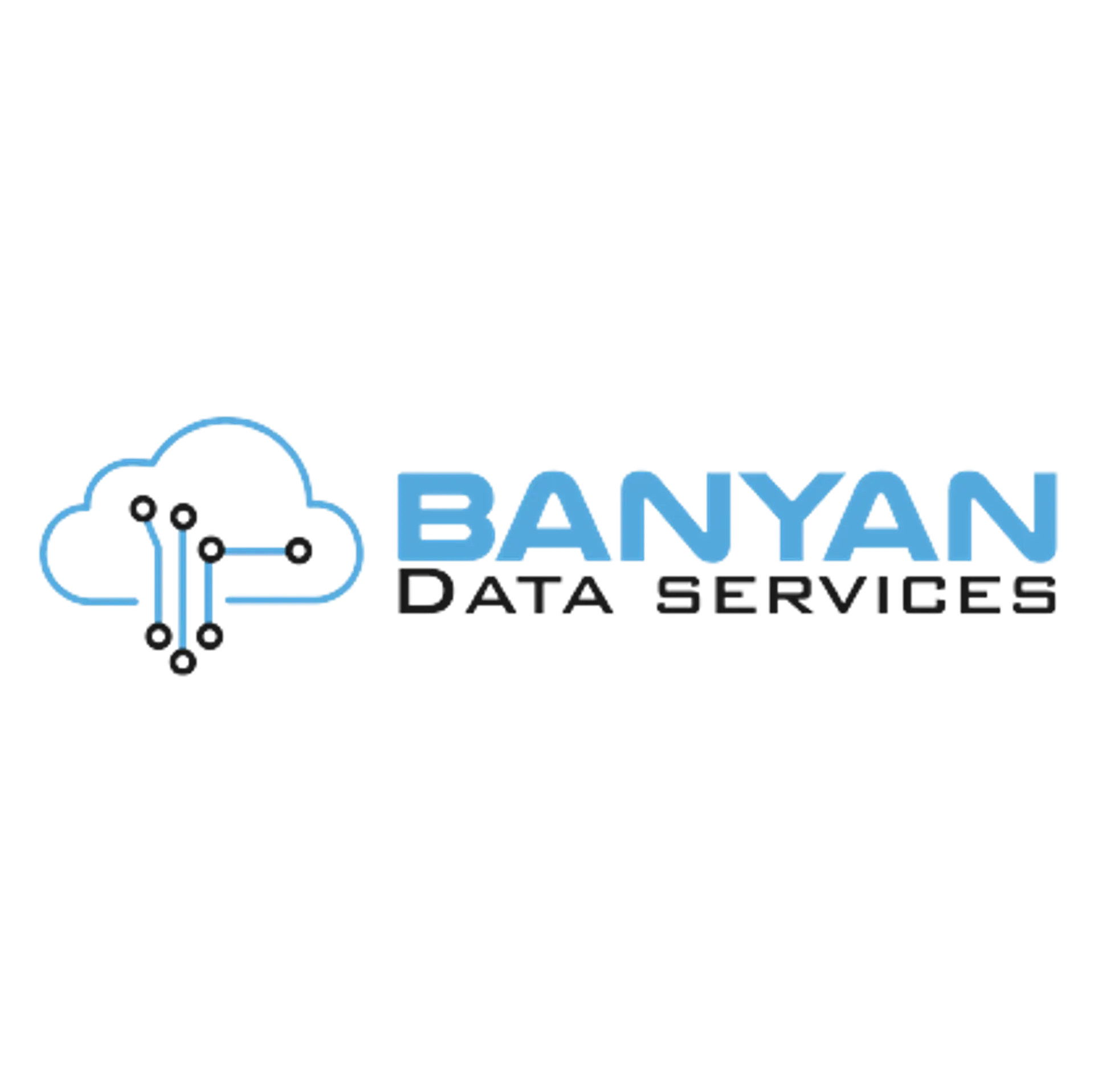 Banyan data Services